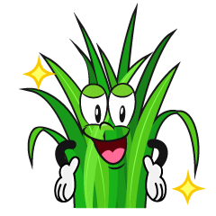 Glitter Grass