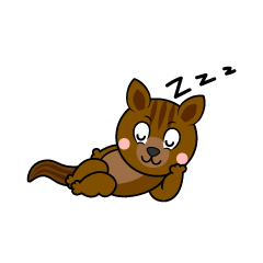 Sleeping Squirrel