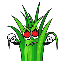 Enthusiasm Grass