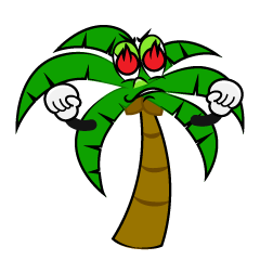 Enthusiasm Palm Tree