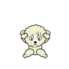 Standing Sheep