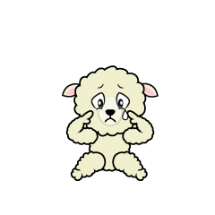 Sad Sheep