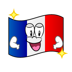 Bandera Francesa Brillante