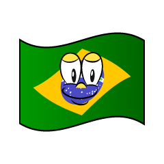 Brazilian Flag