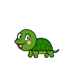 Dancing Turtle