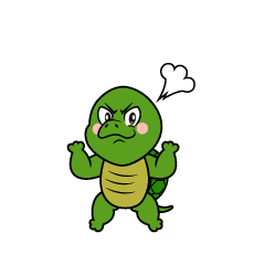 Angry Turtle