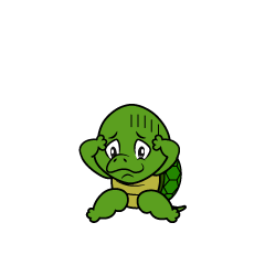 Depressed Turtle