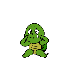 Sad Turtle