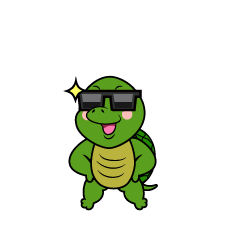 Cool Turtle