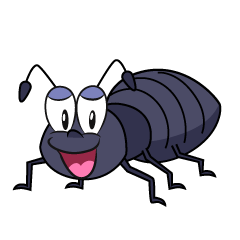 Smiling Ant