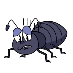 Depressed Ant