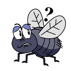 Thinking Fly