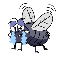 Crying Fly