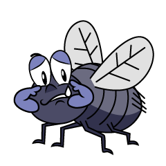 Sad Fly