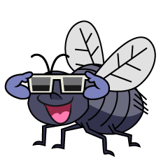 Cool Fly