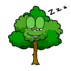 Sleeping Tree