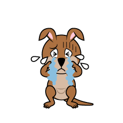 Crying Kangaroo