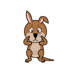 Sad Kangaroo