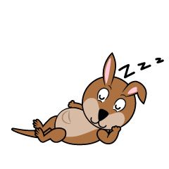 Sleeping Kangaroo