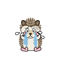 Crying Hedgehog