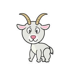 Goat