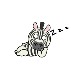 Sleeping Zebra
