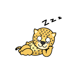 Sleeping Leopard