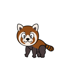 Red Panda