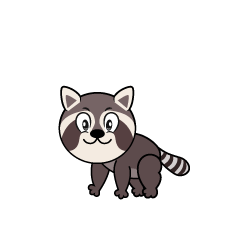 Raccoon