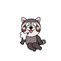 Relaxing Raccoon