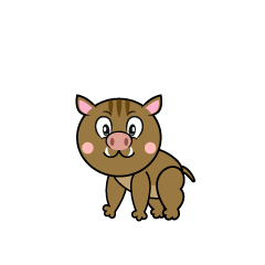 Boar