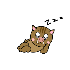 Sleeping Boar