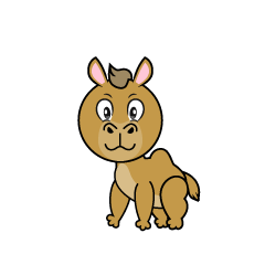 Camel
