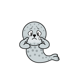 Sad Seal