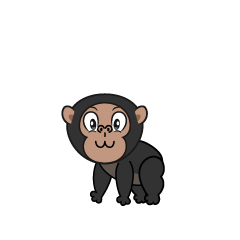 Chimpanzee