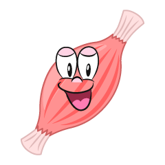 Smiling Muscle