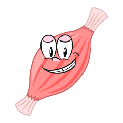Grinning Muscle