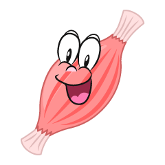 Surprising Muscle