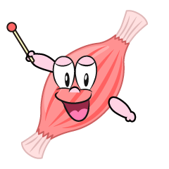 Speaking Muscle