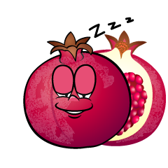 Sleeping Pomegranate