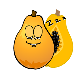 Sleeping Papaya