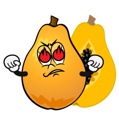 Enthusiasm Papaya