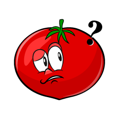 Thinking Tomato