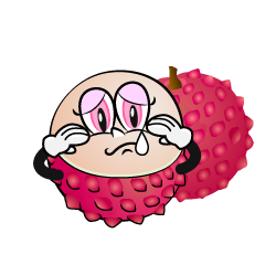 Sad Lychee