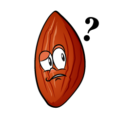 Thinking Almond