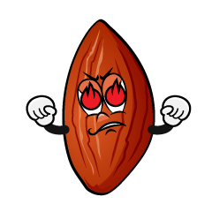 Enthusiasm Almond