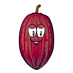 Cocoa