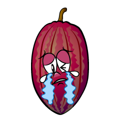 Crying Cocoa