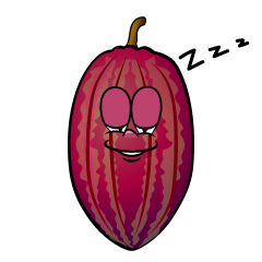 Sleeping Cocoa