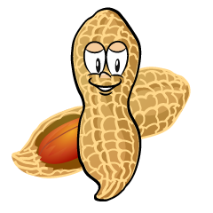 Peanut